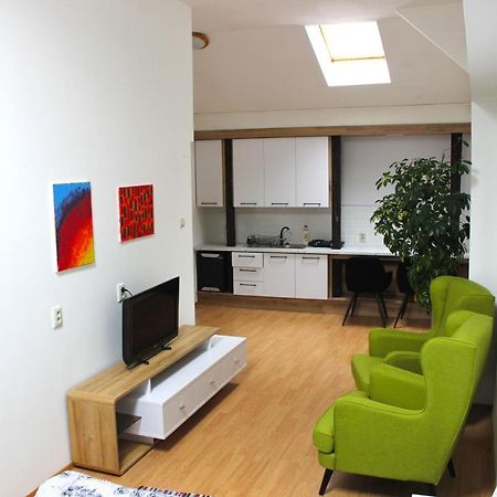 Krasny Priestranny Slnecny Apartman V Centre Mesta Trencin Exterior photo