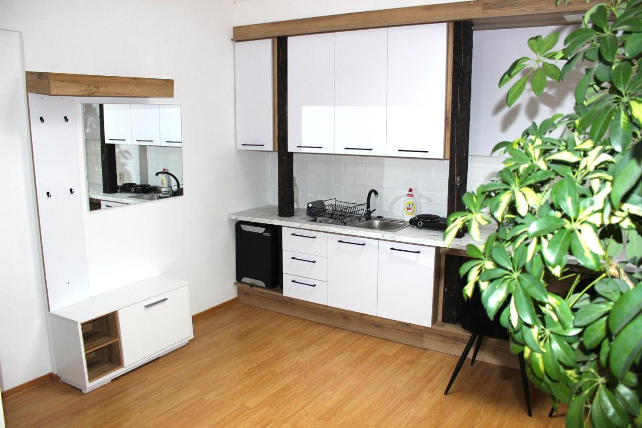 Krasny Priestranny Slnecny Apartman V Centre Mesta Trencin Exterior photo
