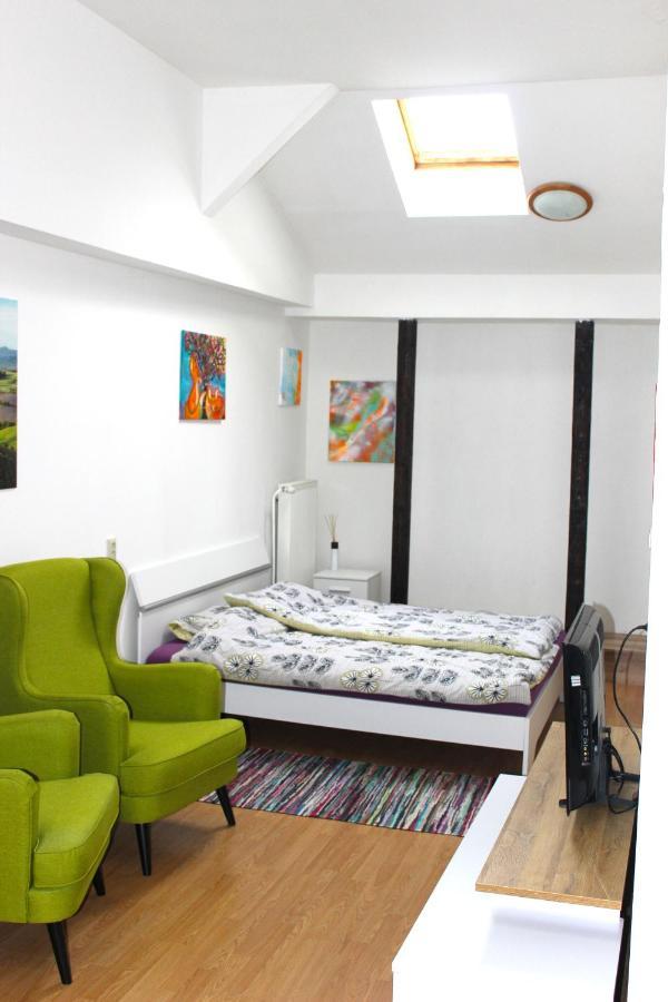 Krasny Priestranny Slnecny Apartman V Centre Mesta Trencin Exterior photo